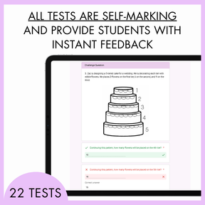 Year 4 Number & Algebra Digital Test Pack